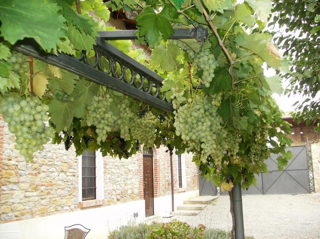 Agriturismo Casa Garello Salice Terme Exterior foto