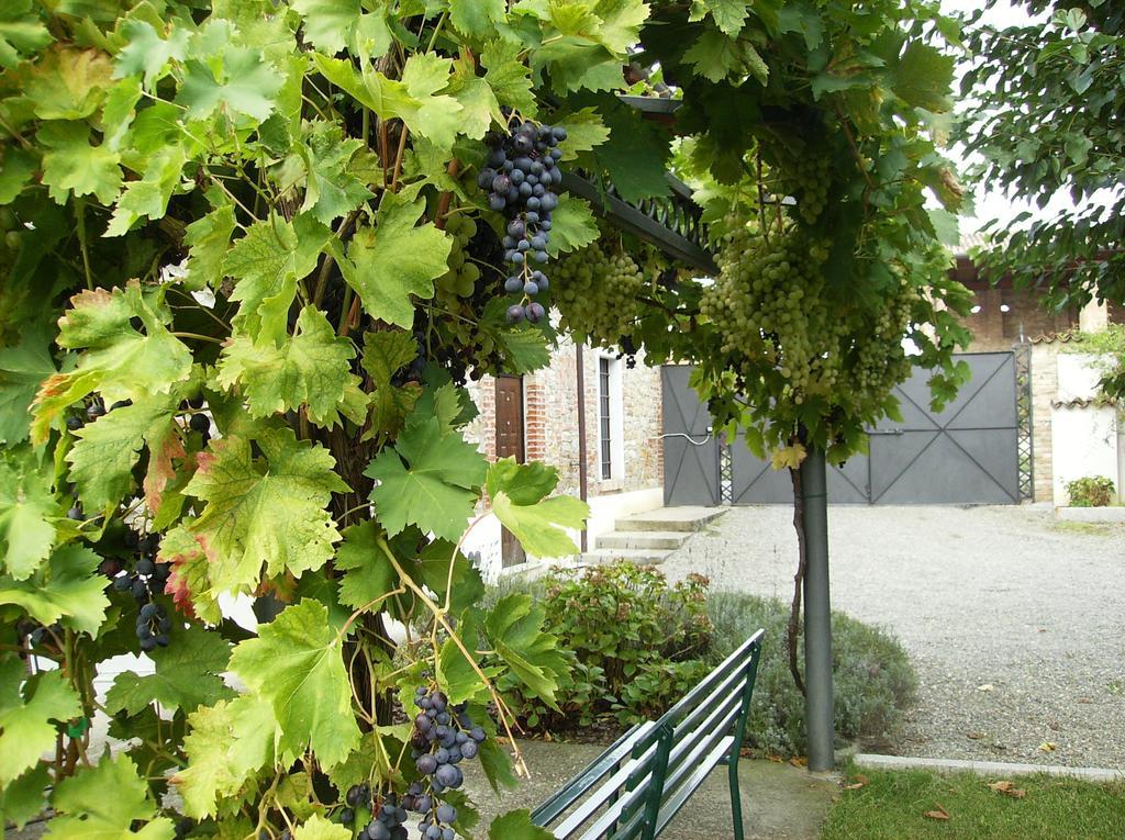 Agriturismo Casa Garello Salice Terme Exterior foto